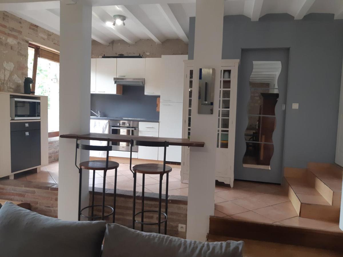 Charmant Appartement Vue Sur La Riviere. Алби Екстериор снимка