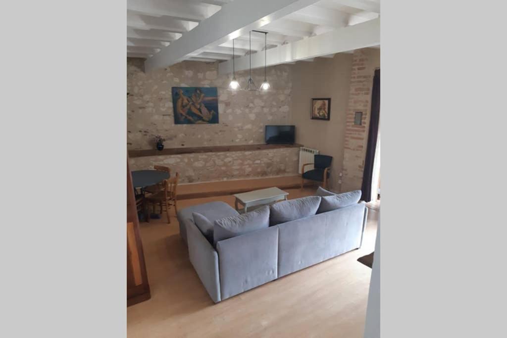 Charmant Appartement Vue Sur La Riviere. Алби Екстериор снимка